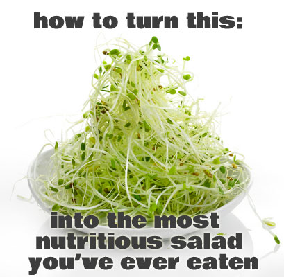 Sprout Mix Salad