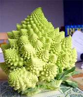 Broccoli Romanesco Seeds