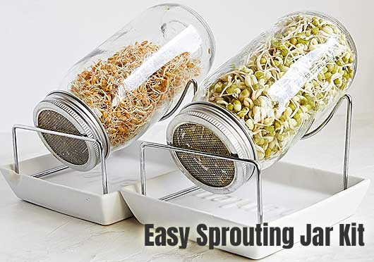 Easy Sprouting Jar Kit, BPA-Free with Stainless Steel Mesh Lids and Drainage Trays
